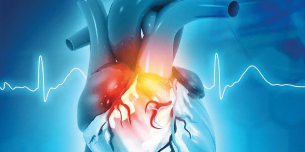 Novo Projeto (12) (1)